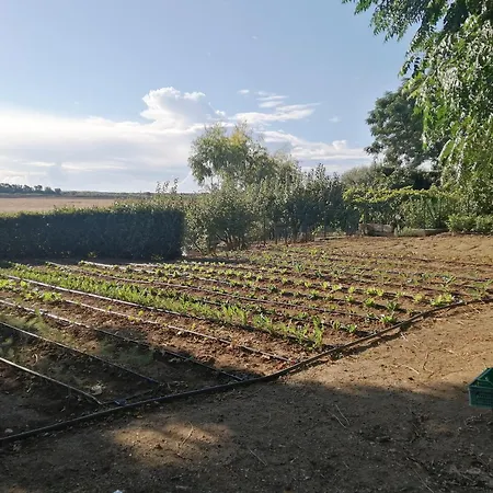 Farm stay La Sosta