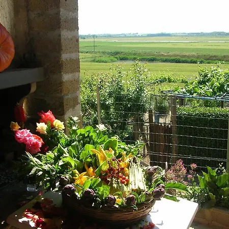 Farm stay La Sosta *
