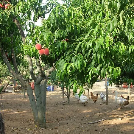 La Sosta Farm stay Pescia Romana