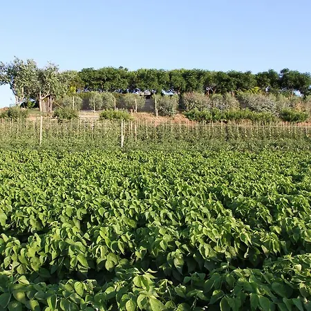 La Sosta Pescia Romana
