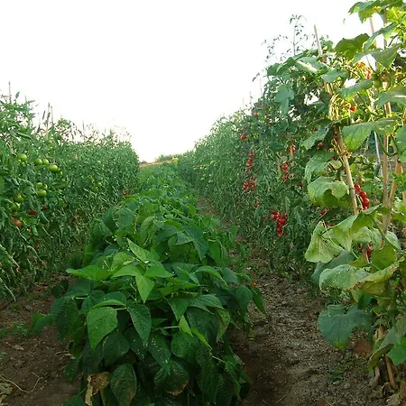 La Sosta Farm stay Pescia Romana