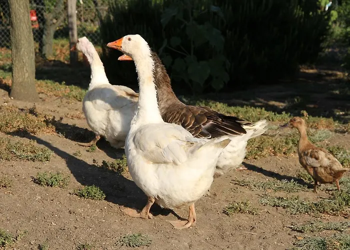 La Sosta